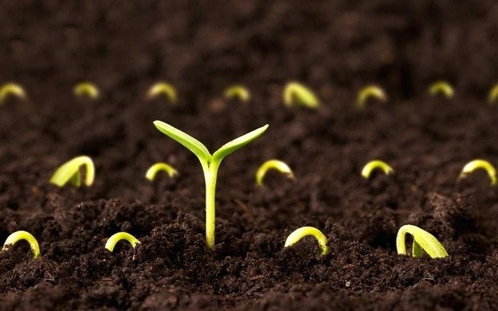 （示意圖源：互聯網）