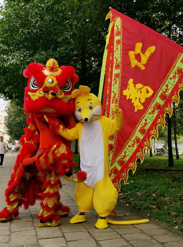 龍獅賀歲　創新節目迎春禧 ảnh 1