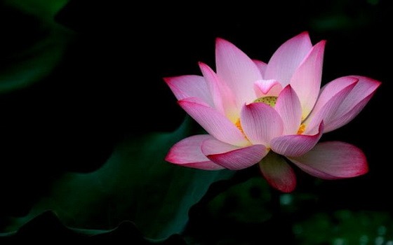 （示意圖源：互聯網）