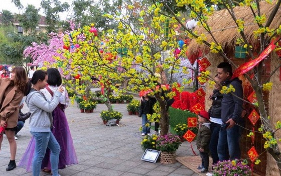 （示意圖源：互聯網）