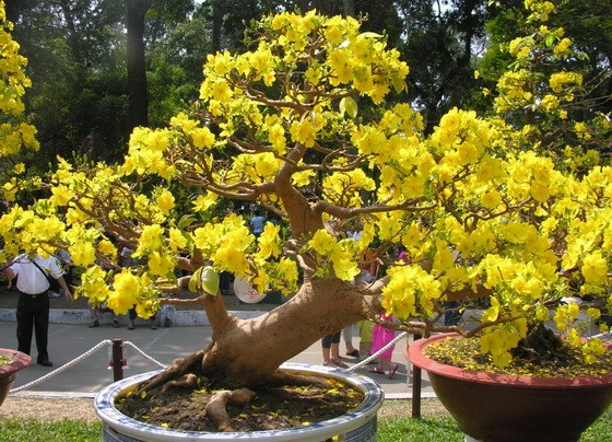 （示意圖源：互聯網）