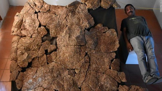 研究人員和龜殼合影。（圖源：互聯網）