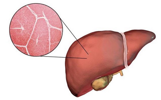 （示意圖源：互聯網）