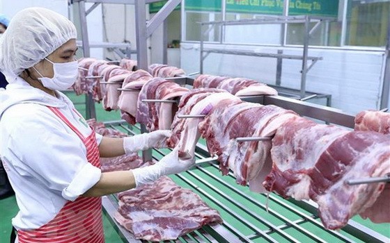 豬肉加工後獲放在架上確保衛生安全。（圖源：越通社）