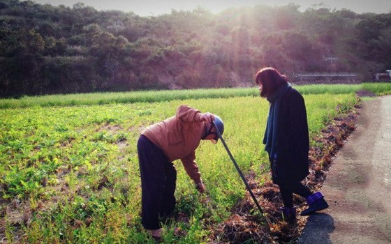 （示意圖源：互聯網）