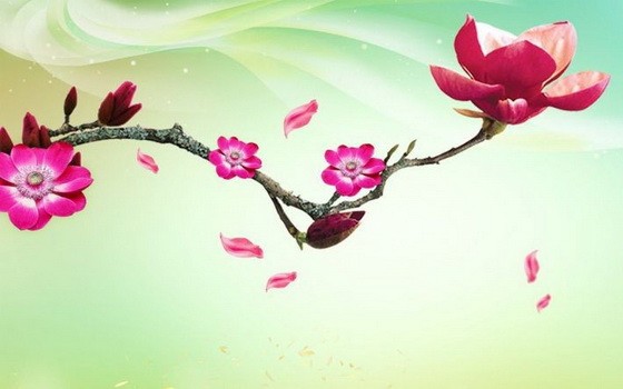 （示意圖源：互聯網）