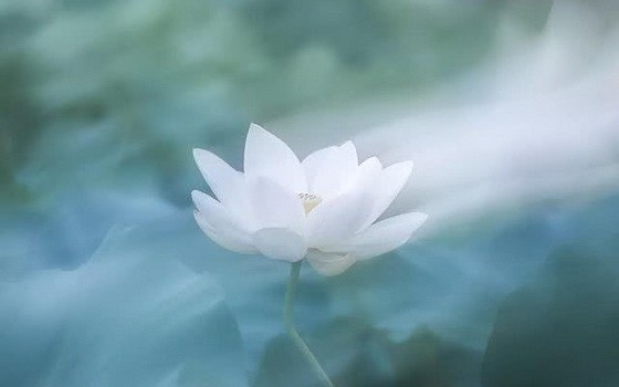 （示意圖源：互聯網）