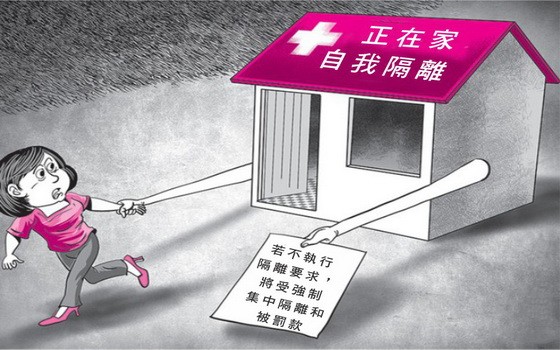 （示意圖源：DAD20）