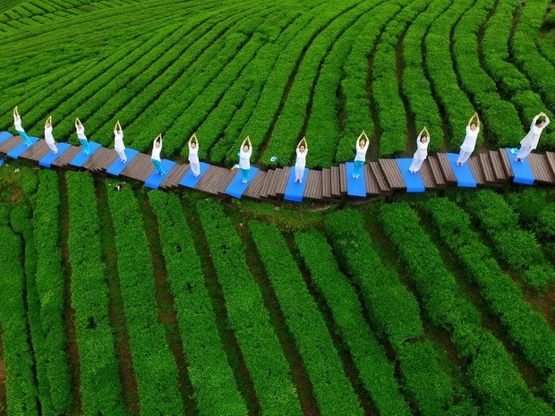 教您在家尋找旅行感覺 ảnh 2