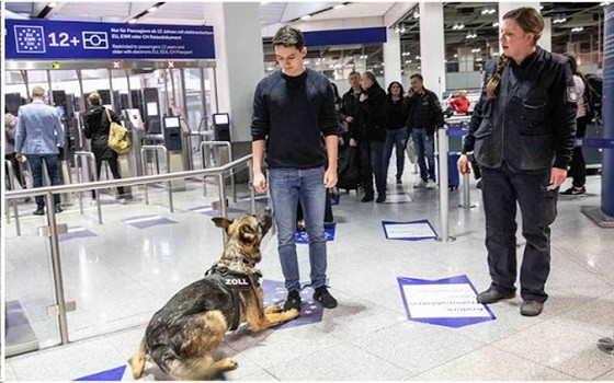 （示意圖源：互聯網）