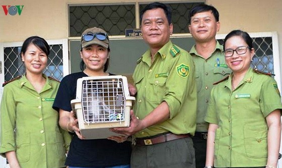 平定省林檢分局向越南野生動物保護中心代表移交一隻珍稀灰足猴。（圖源：VOV）