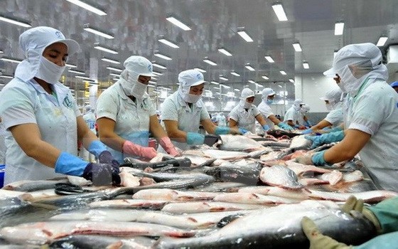 圖為查魚片加工工段。（圖源：互聯網）