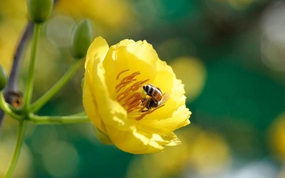 （示意圖源：互聯網）