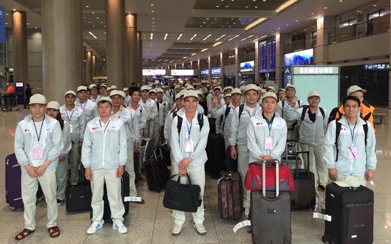 2019年赴外國工作的越南勞工總數為14萬7387人。（圖源：互聯網）