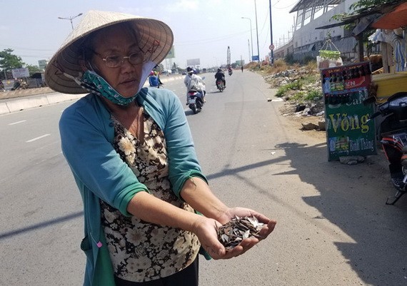 四姑在新東區車站門前拾到大量自製釘子。