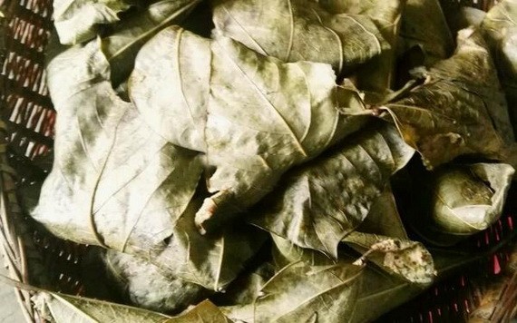 （示意圖源：互聯網）