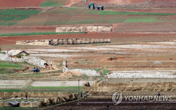 朝鮮開豐郡農田一片寂寥。（圖源：韓聯社）