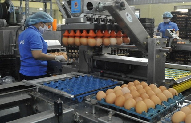 持續招引外國資金 ảnh 1