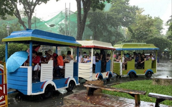 不少家庭帶著小孩去動物園參觀。（圖源：阮智）