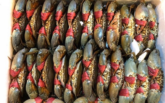 （示意圖源：互聯網）