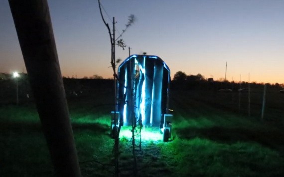 團隊在紐約兩座葡萄園做田野實驗。每天晚上太陽下山後，數台 Thorvald 會自動沿著葡萄株繞行。（圖源：Cornell University）