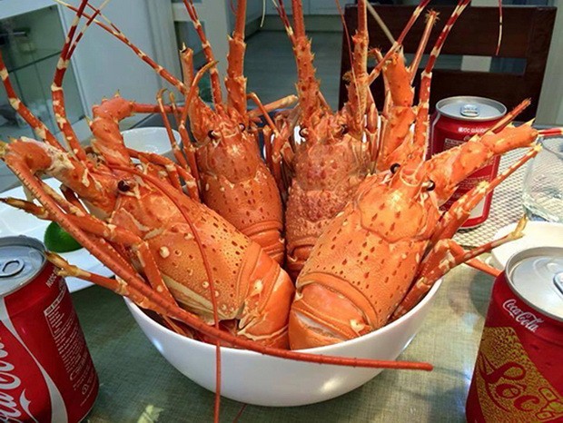 平波島上好風光 ảnh 1