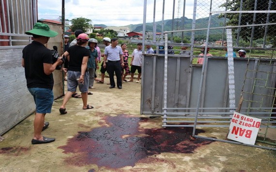 案發地點。（圖源：奠邊TV）