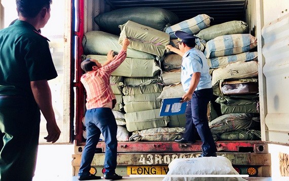 職能力量在驗貨場查獲 5 個冒充草藥的集裝箱。（圖源：海州）