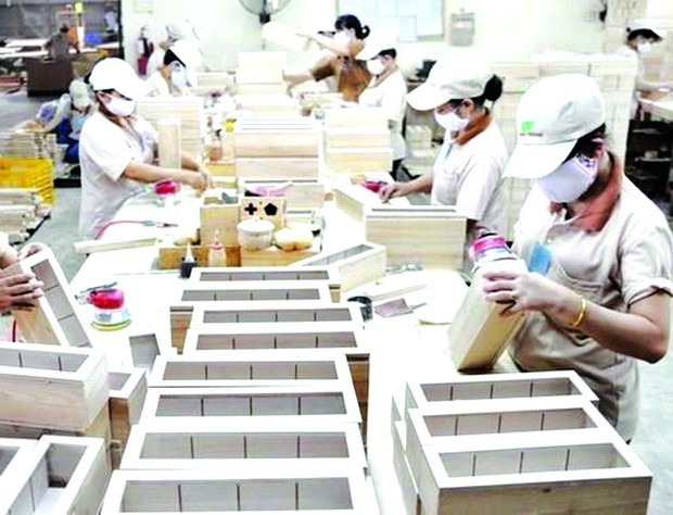 疫情後促進可持續性全面增長 ảnh 1