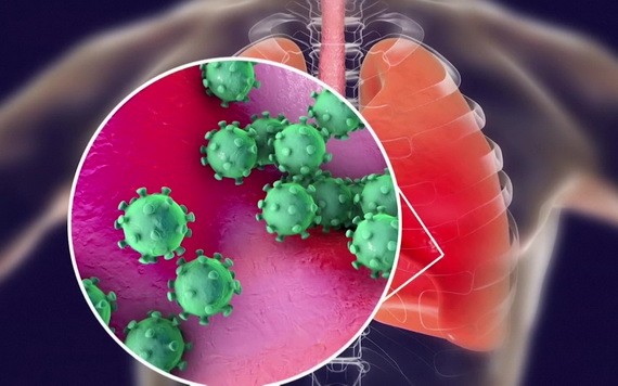 （示意圖源：互聯網）