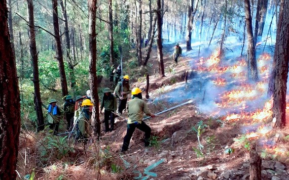 職能力量致力控制火勢。（圖源：高鸞）