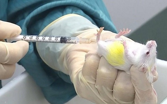 （示意圖源：互聯網）