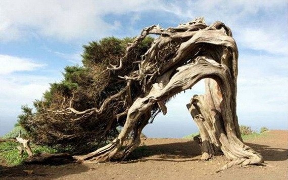 （示意圖源：互聯網）