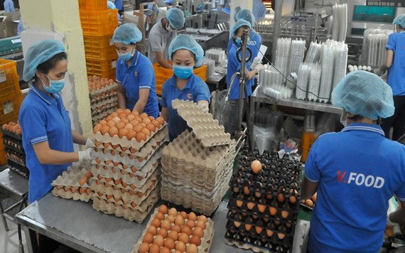 永成達食品股份公司的蛋類加工一瞥。