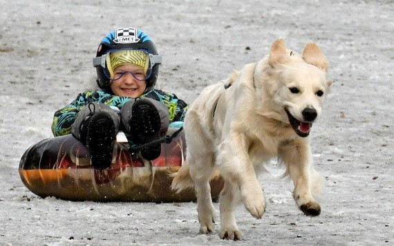 （示意圖源：互聯網）