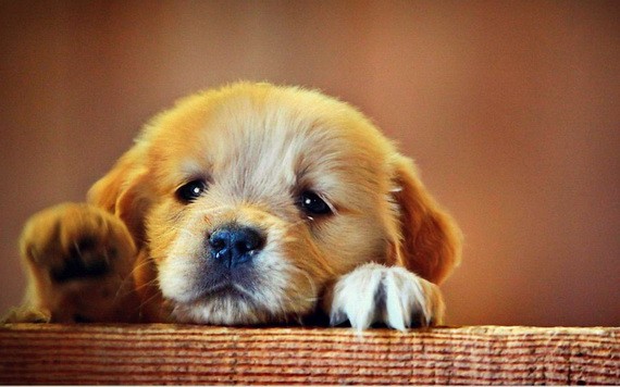 （示意圖源：互聯網）  