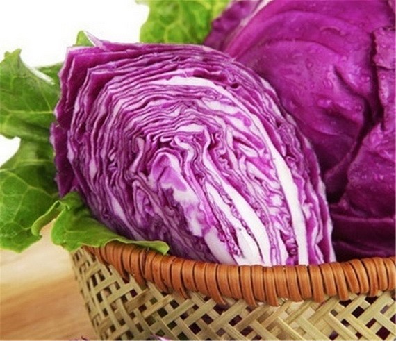 紫甘藍