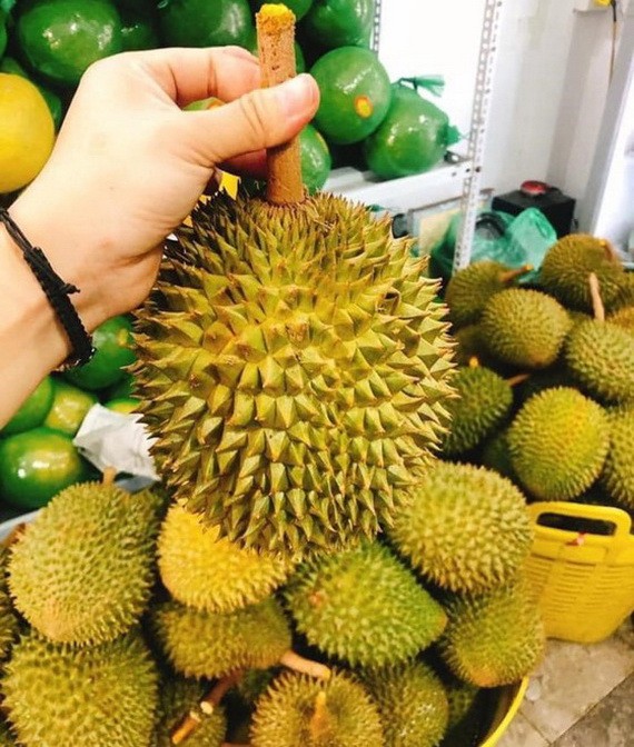越南新鮮榴槤當前很受澳洲市場的歡迎。（圖源：文福）