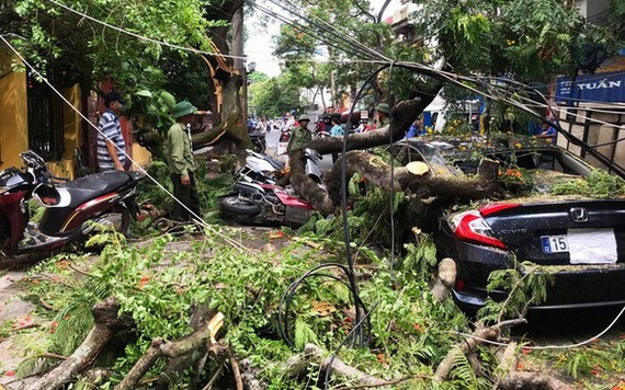 鳳尾大樹枝折斷砸中停在路旁的一輛汽車和多輛摩托車。（圖源：定阮）