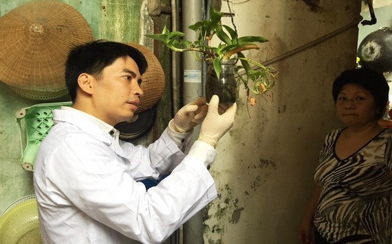 中央流行病衛生院的衛生防疫專家在河內市還劍郡某民戶檢查可能成為孑孓窩的儲水器皿。