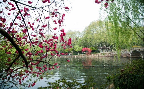 （示意圖源：互聯網）