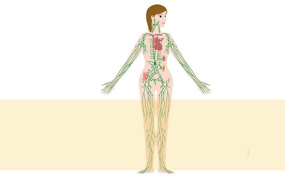 （示意圖源：互聯網）