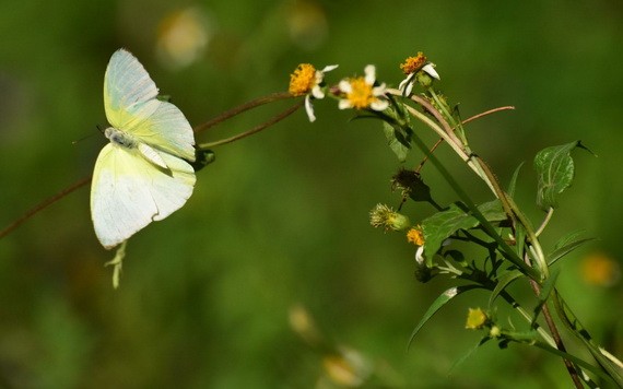 （示意圖源：互聯網）