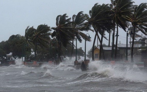 （示意圖源：互聯網）