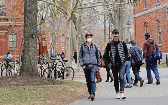 不少大學在疫情期間將部份本科課程改為網上授課。（圖源：路透社）