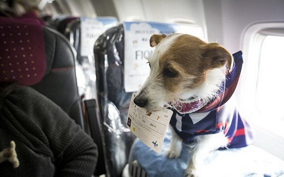 （示意圖源：互聯網）