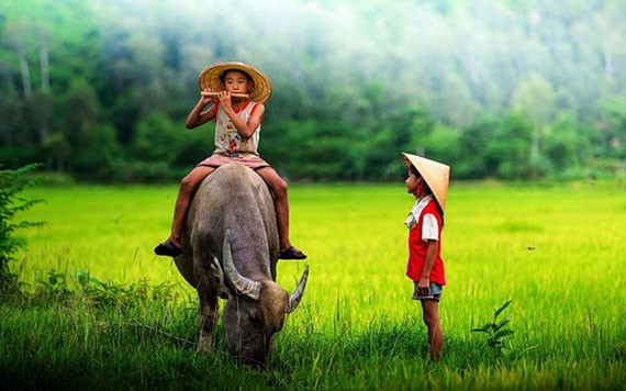 （示意圖源：互聯網）