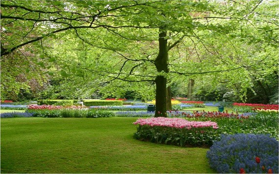 （示意圖源：互聯網）