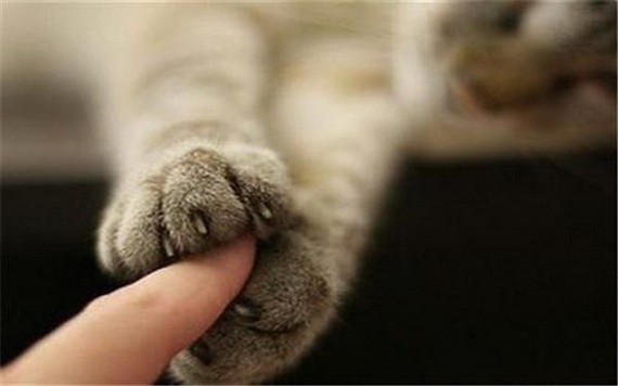 （示意圖源：互聯網）