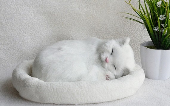 （示意圖源：互聯網）